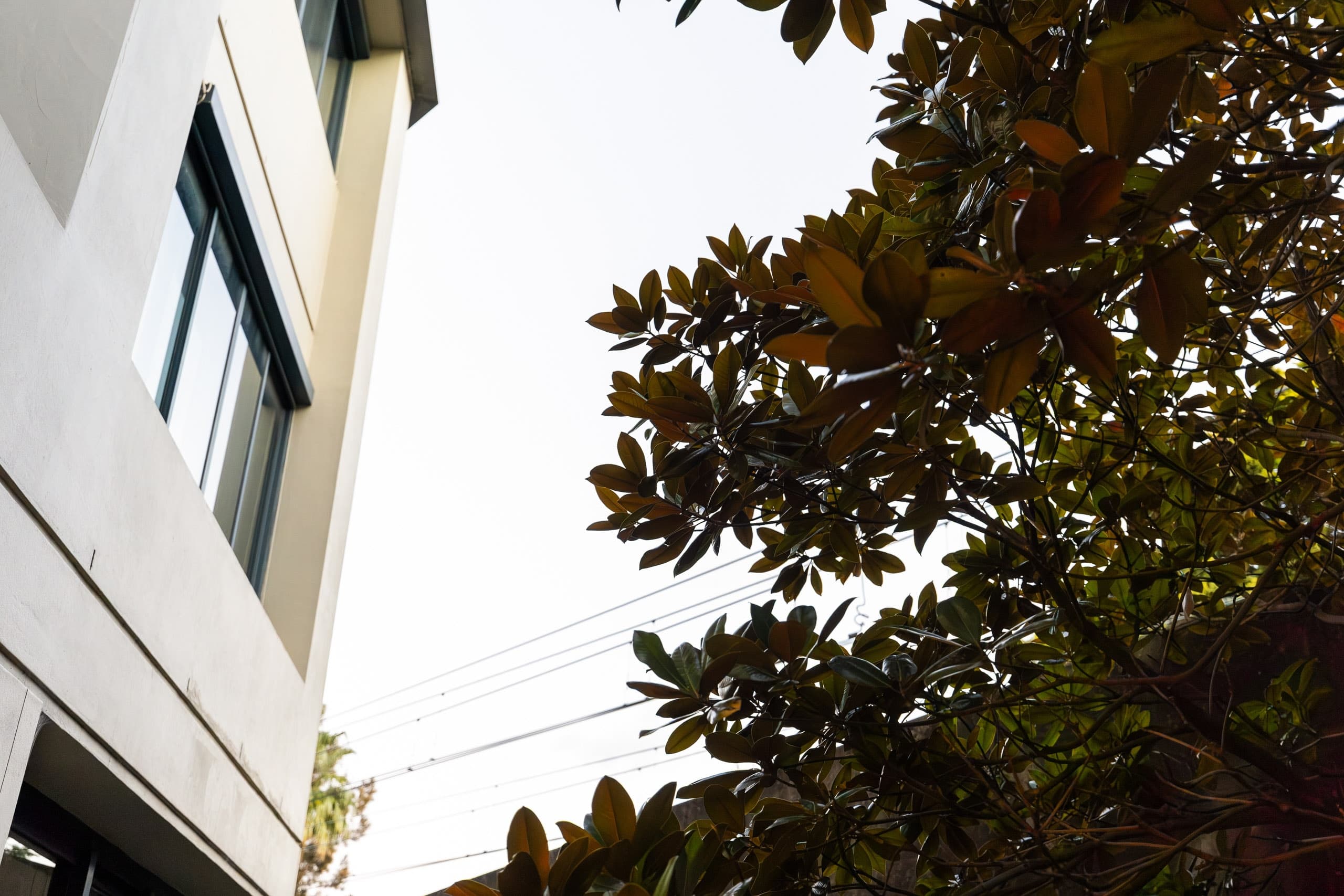 5/490 Glenmore Road, Edgecliff - Thumbnail 6