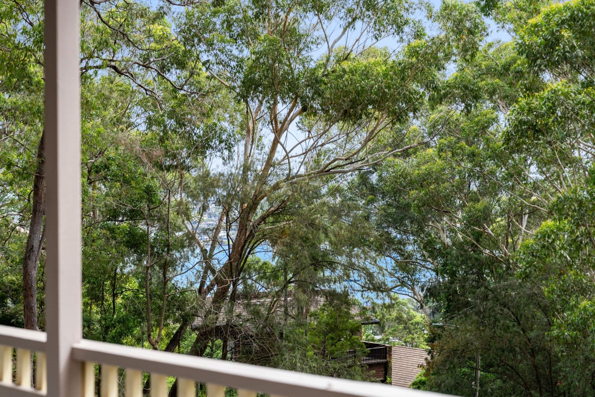 21 Woorara Parade Green Point NSW, Green Point - Thumbnail 3
