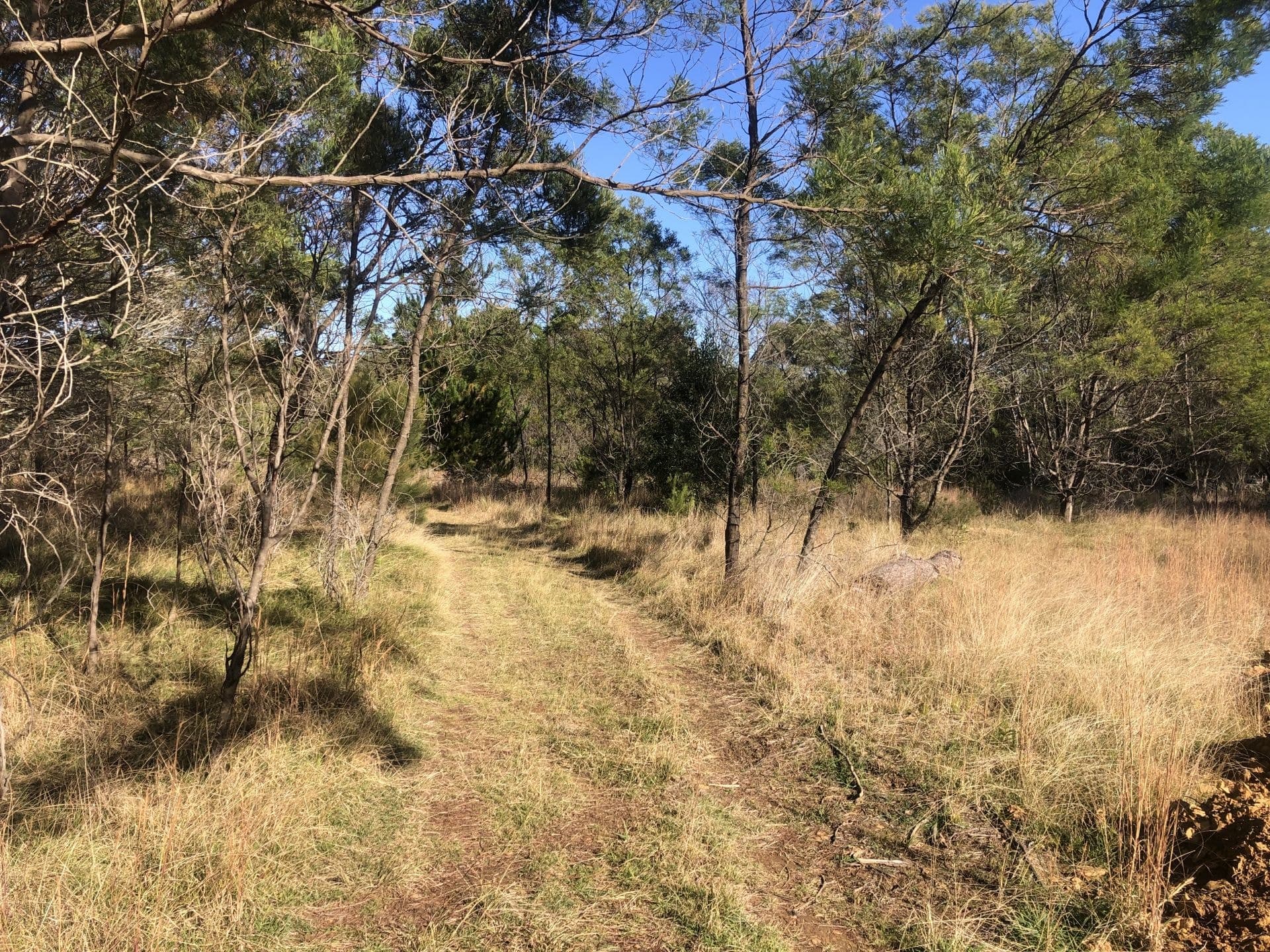 309 Alpine Road Yerrinbool NSW, Yerrinbool - Image 1