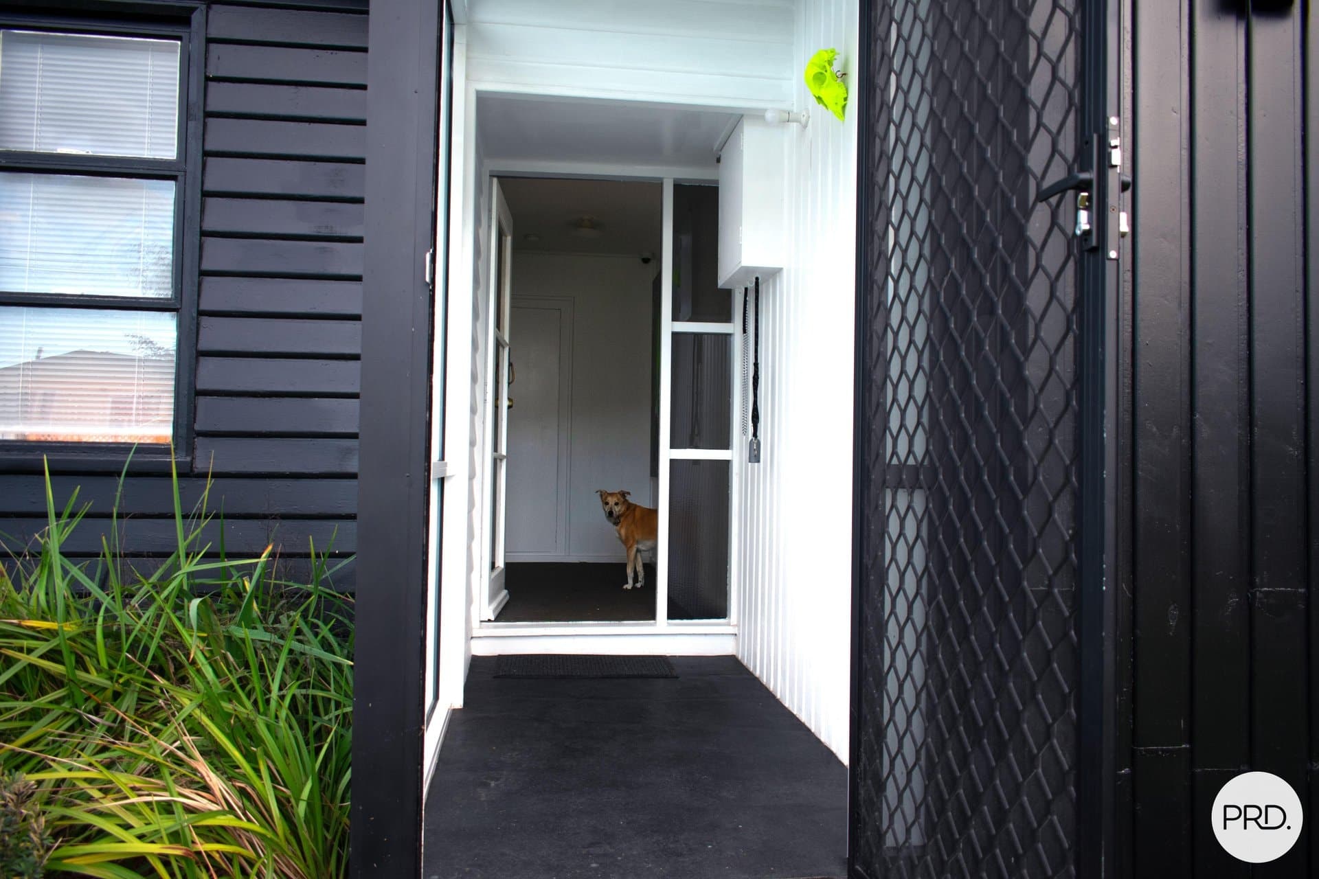 53 Spinifex Road, RISDON VALE TAS 7016, Risdon Vale - Thumbnail 2