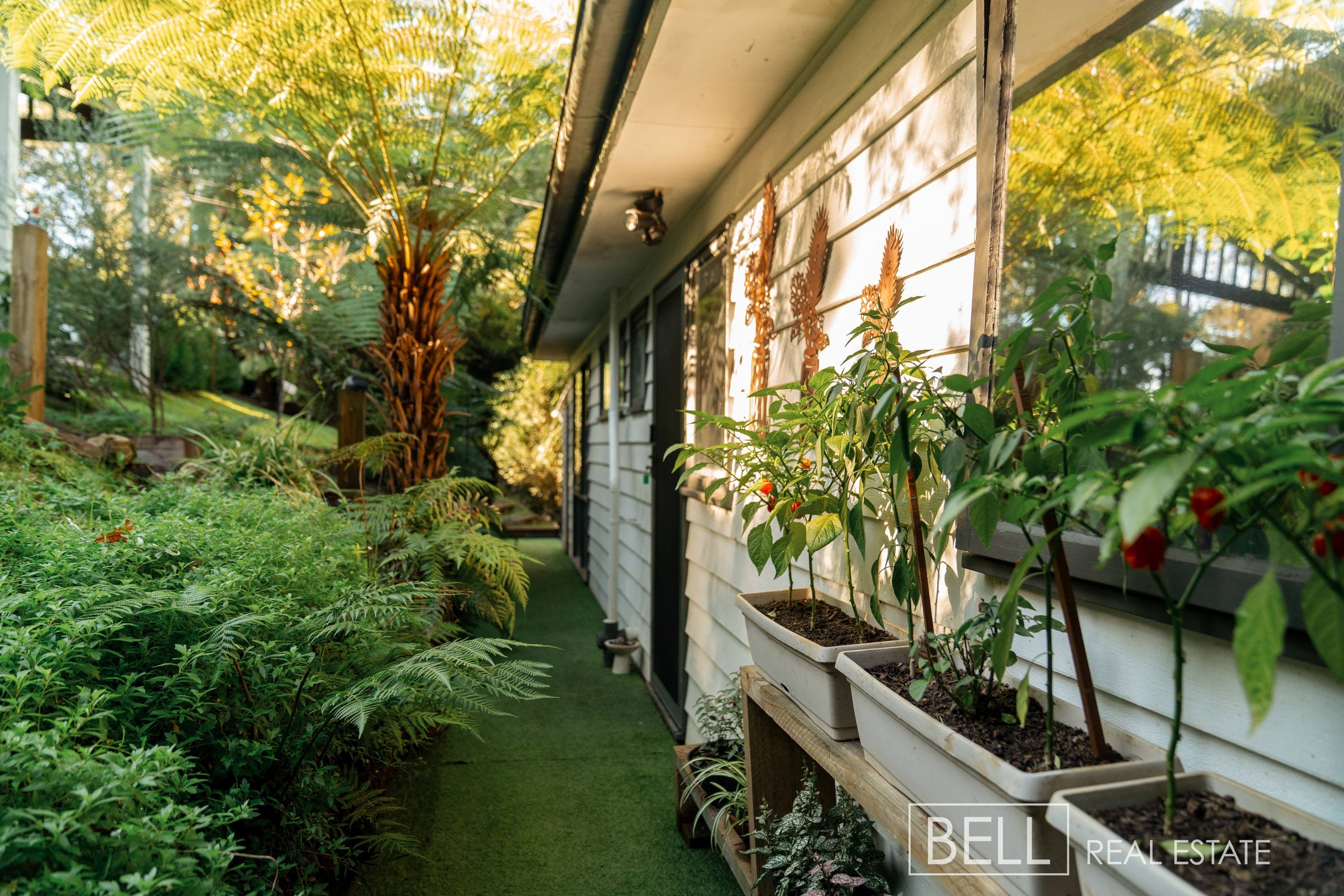 6 Forest Street, MONBULK, Monbulk - Thumbnail 2