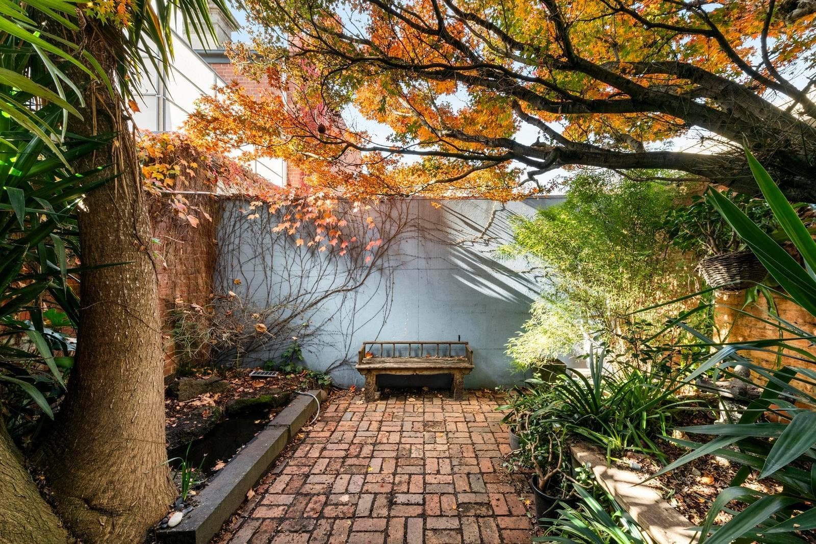Rear 583 Rathdowne Street, Carlton North VIC 3054, Carlton North - Thumbnail 8