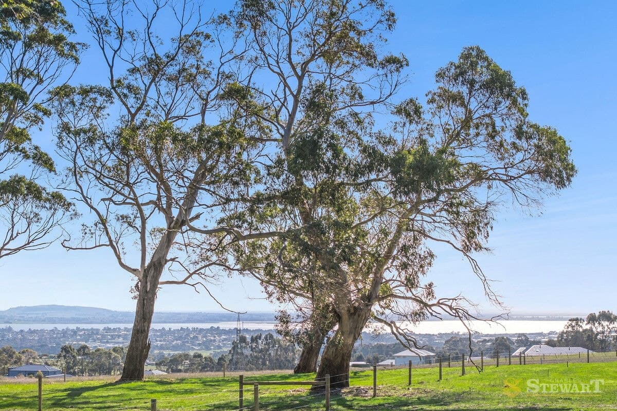 Holts Road, Elliminyt, VIC, Elliminyt - Thumbnail 7