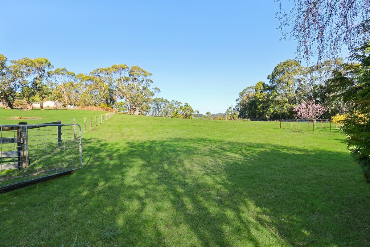 169 Timboon - Curdievale Road, Timboon, VIC, Timboon - Thumbnail 5