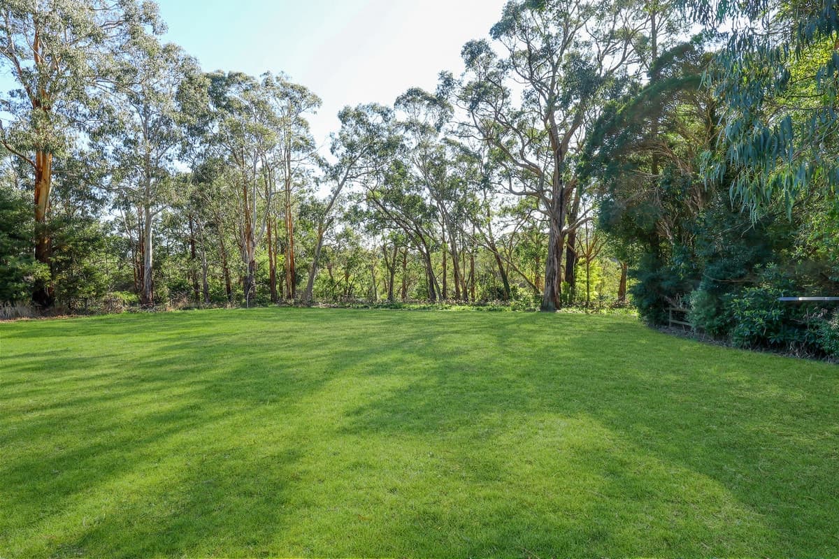 169 Timboon - Curdievale Road, Timboon, VIC, Timboon - Thumbnail 6