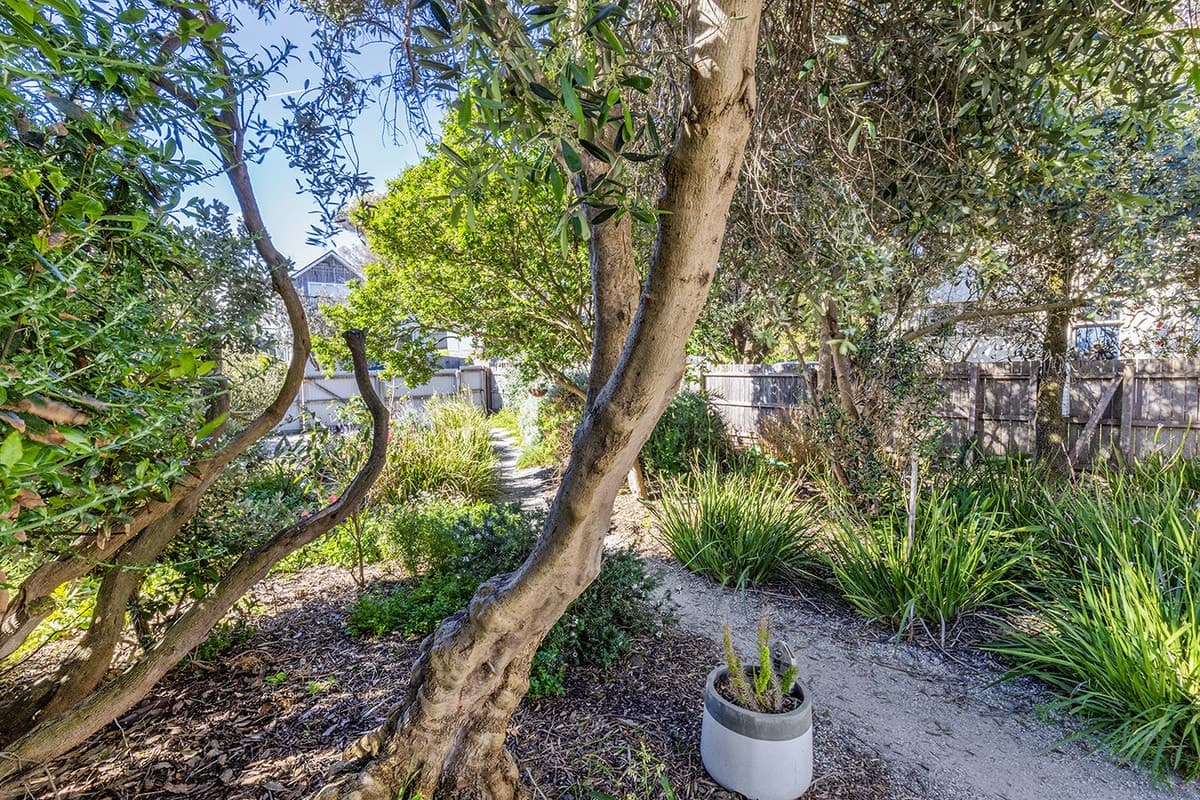 9 Brophy Street, Port Fairy, VIC, Port Fairy - Thumbnail 4