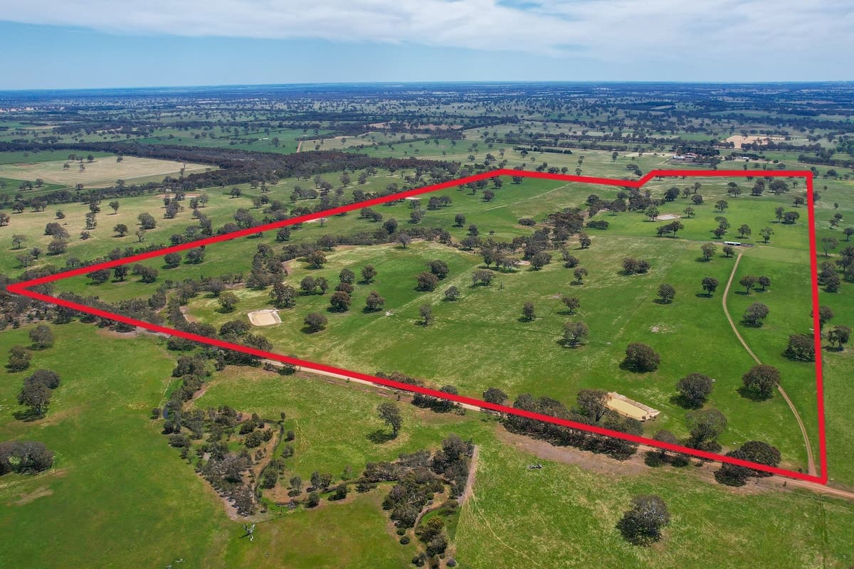 Mount Cavendish Road, Cavendish, VIC, Cavendish - Thumbnail 3