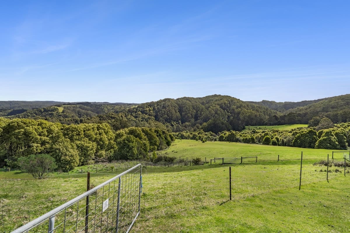 675 Skenes Creek Road, Skenes Creek North, VIC, Skenes Creek North - Thumbnail 6