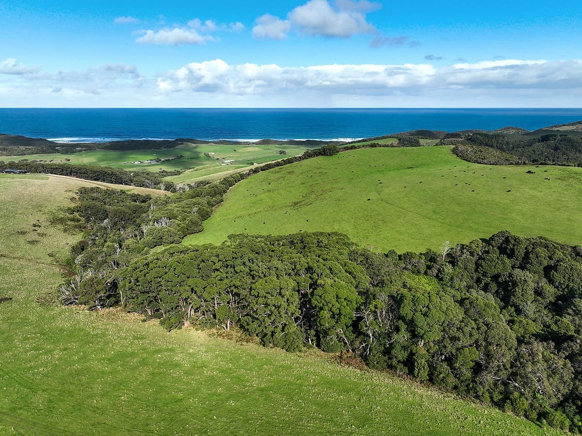 105 Stafford Road, Johanna, VIC, Johanna - Thumbnail 2