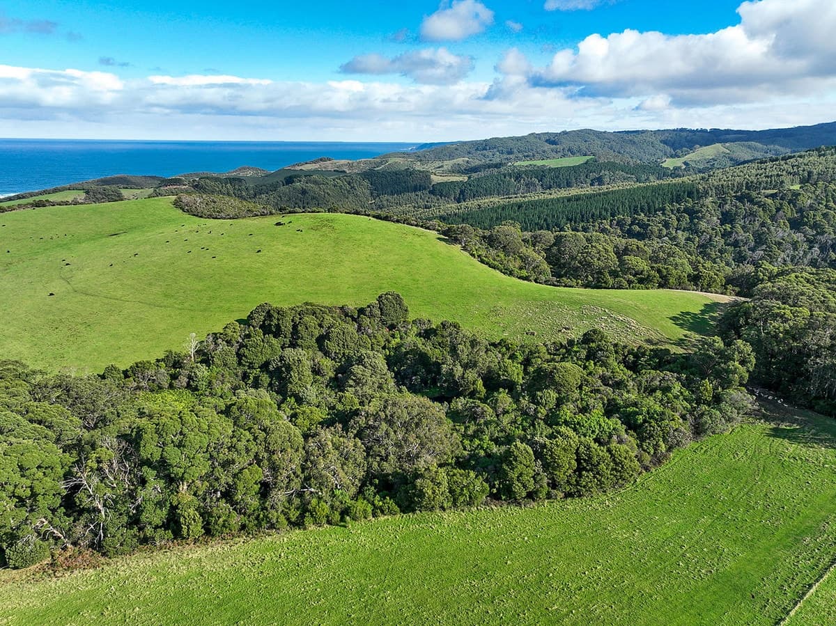 105 Stafford Road, Johanna, VIC, Johanna - Thumbnail 3