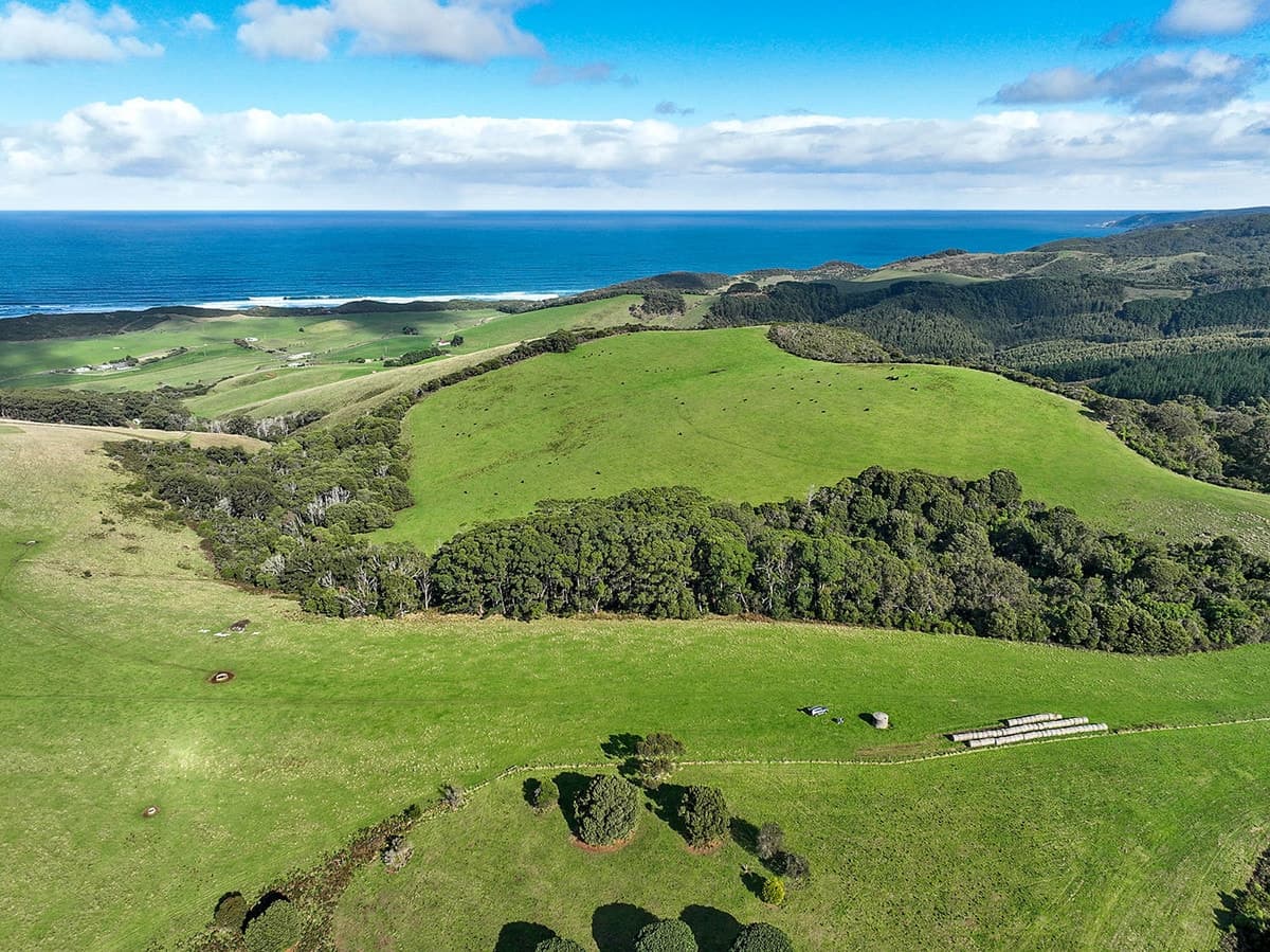 105 Stafford Road, Johanna, VIC, Johanna - Thumbnail 4