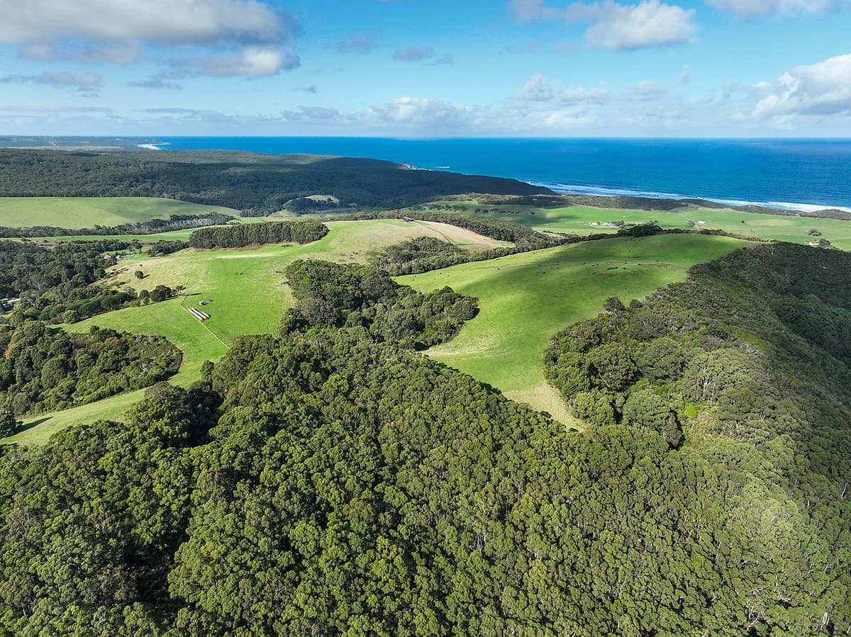 105 Stafford Road, Johanna, VIC, Johanna - Thumbnail 5