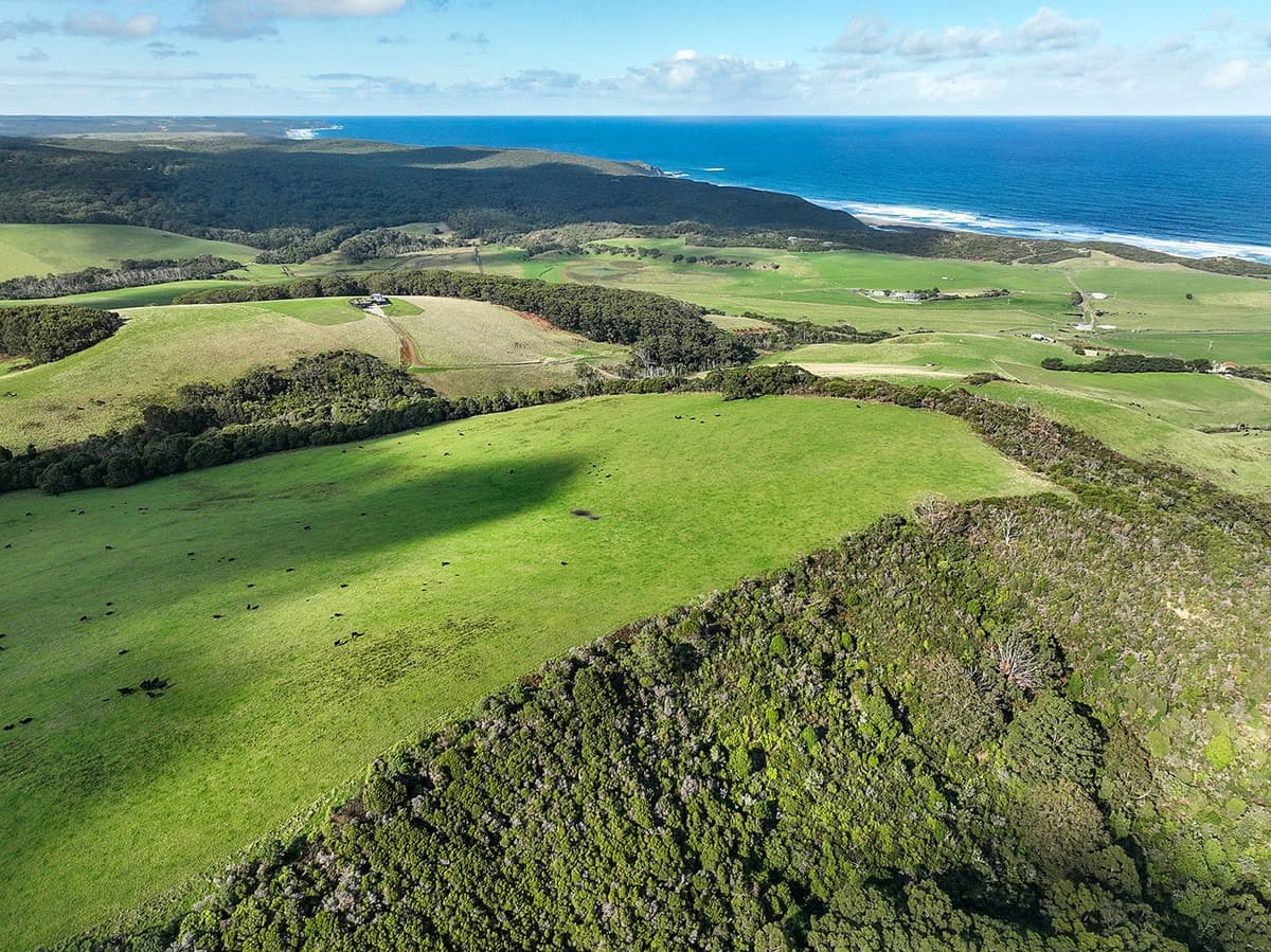 105 Stafford Road, Johanna, VIC, Johanna - Thumbnail 6