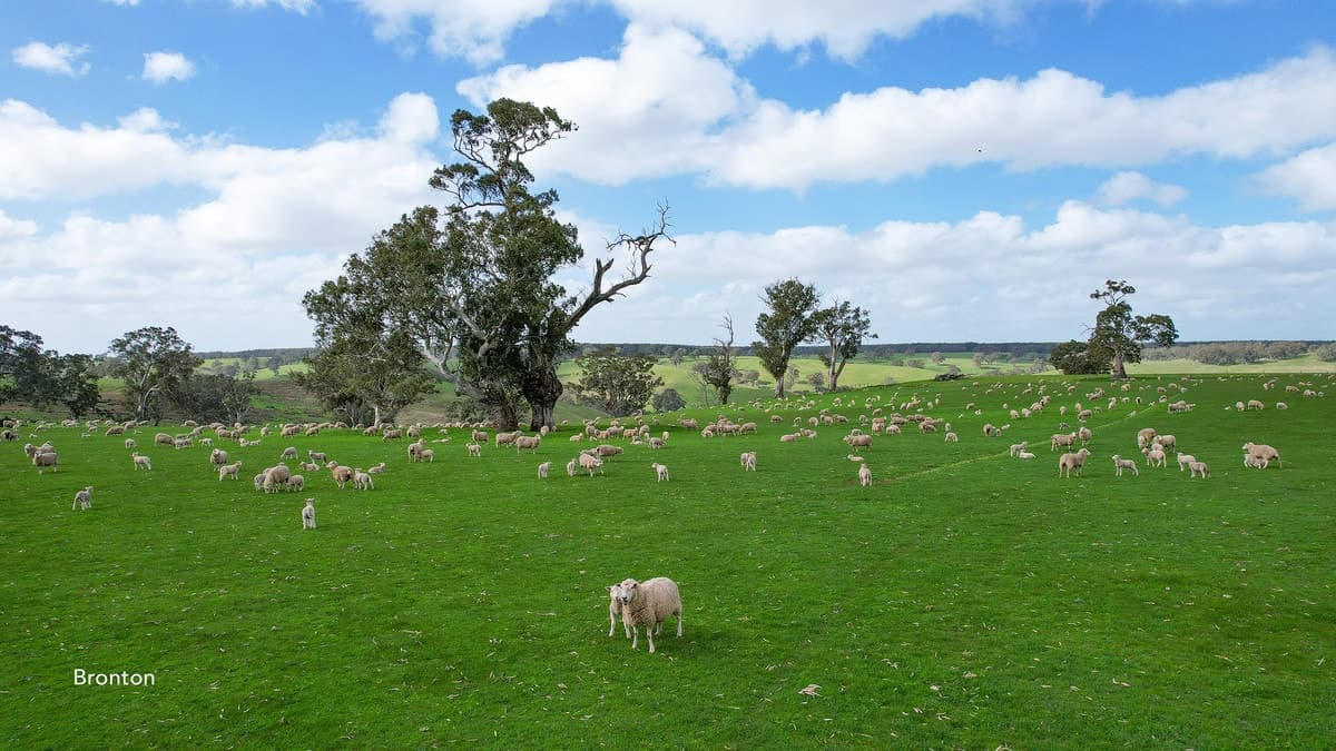 3320 Casterton-Edenhope Road, Chetwynd, VIC, Chetwynd - Thumbnail 2