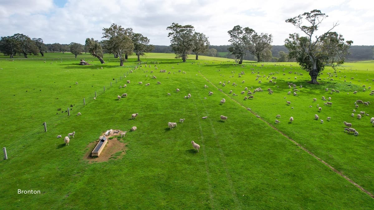 3320 Casterton-Edenhope Road, Chetwynd, VIC, Chetwynd - Thumbnail 3
