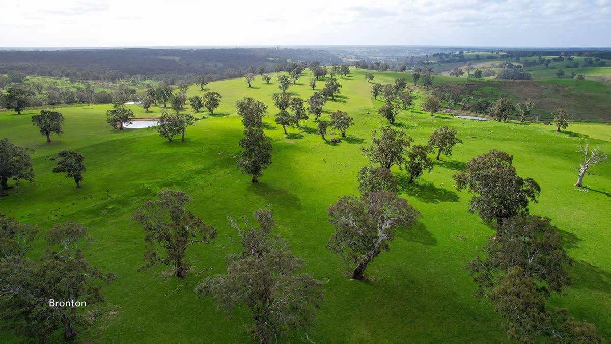 3320 Casterton-Edenhope Road, Chetwynd, VIC, Chetwynd - Thumbnail 7