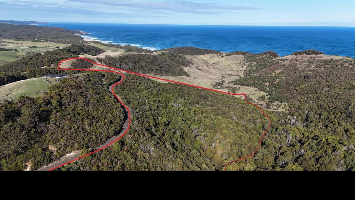 650 Blue Johanna Road, Johanna, VIC, Johanna - Image 1