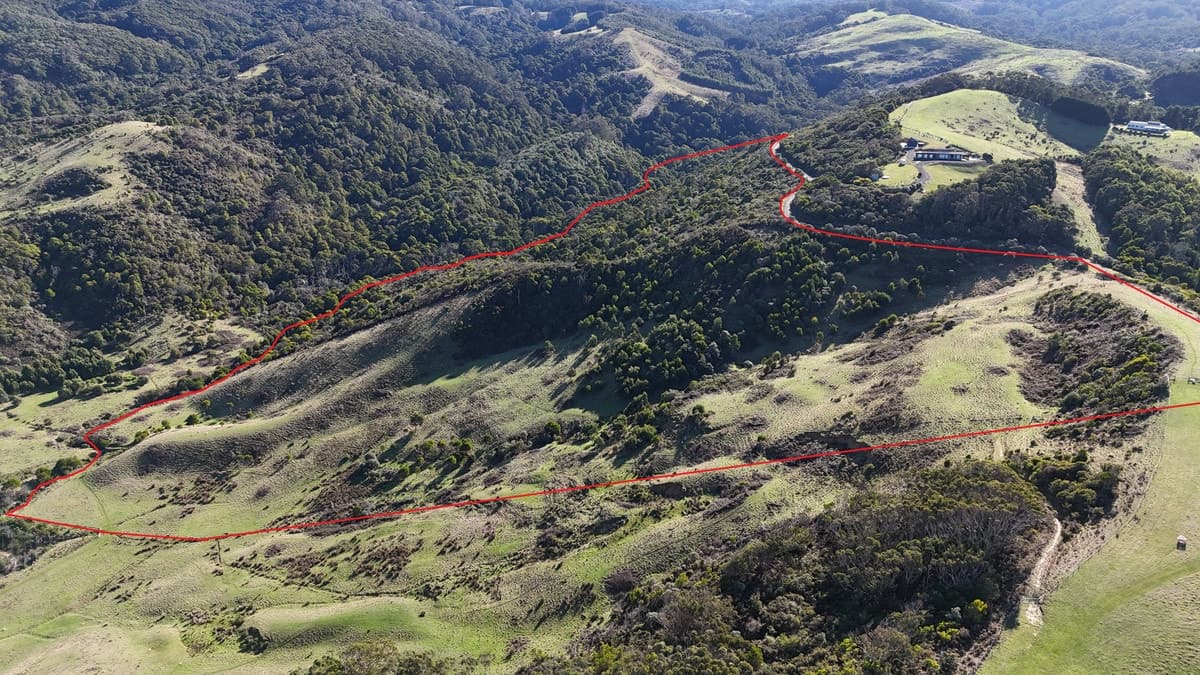 650 Blue Johanna Road, Johanna, VIC, Johanna - Thumbnail 2