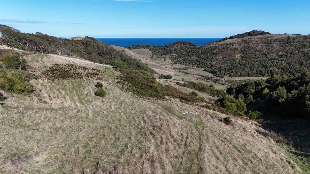 650 Blue Johanna Road, Johanna, VIC, Johanna - Thumbnail 4