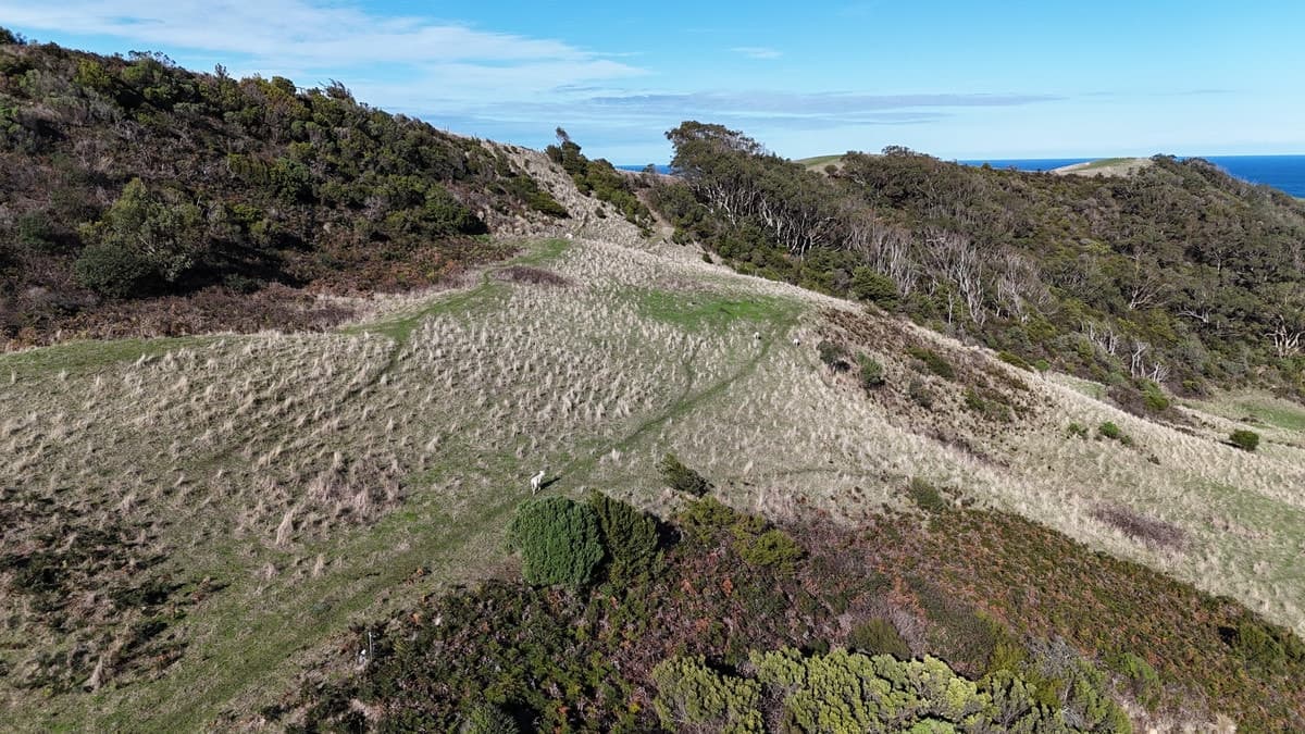 650 Blue Johanna Road, Johanna, VIC, Johanna - Thumbnail 5