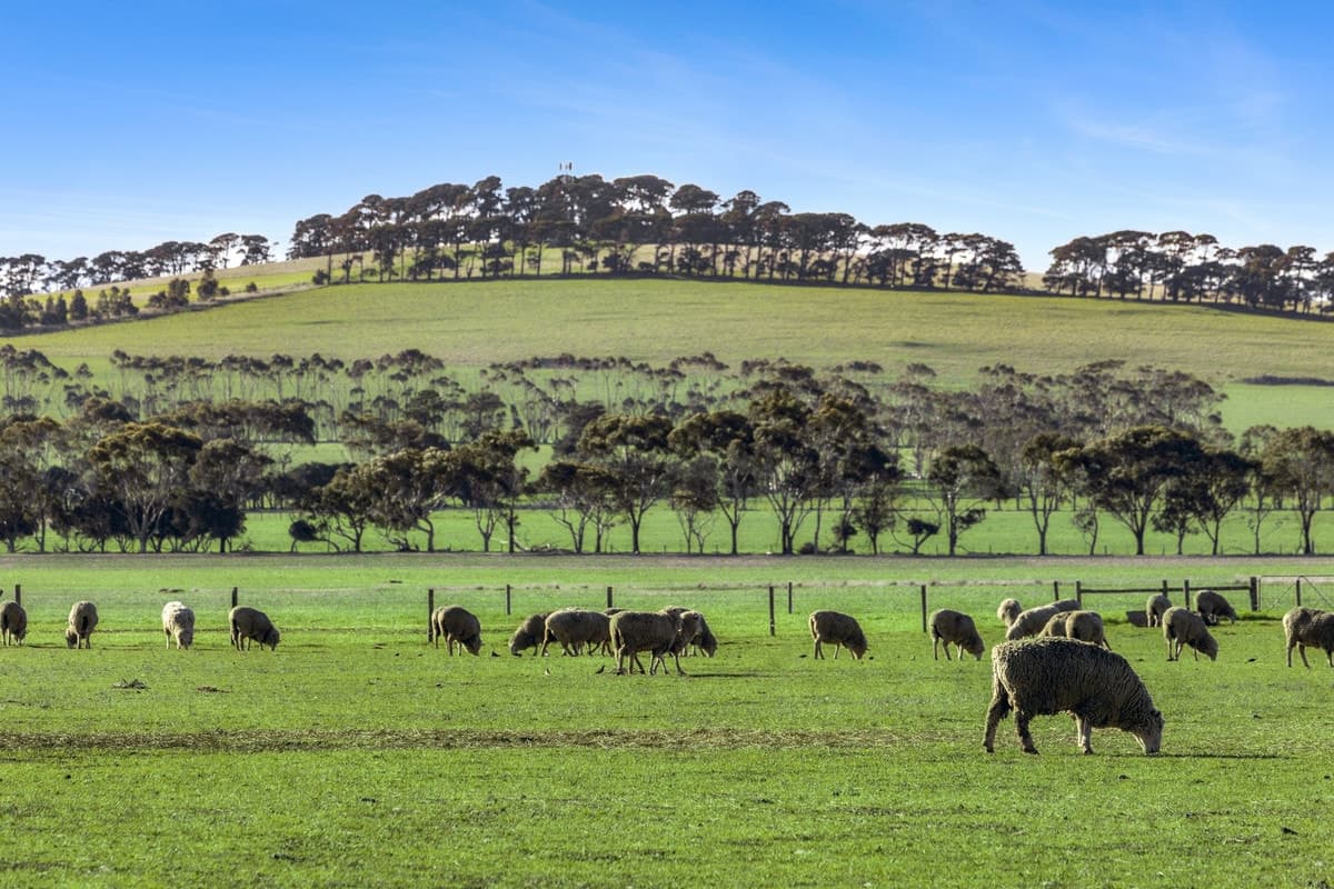 2125 Barrabool Road, Mount Moriac, VIC, Mount Moriac - Image 1