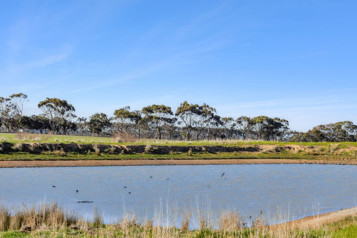2125 Barrabool Road, Mount Moriac, VIC, Mount Moriac - Thumbnail 4
