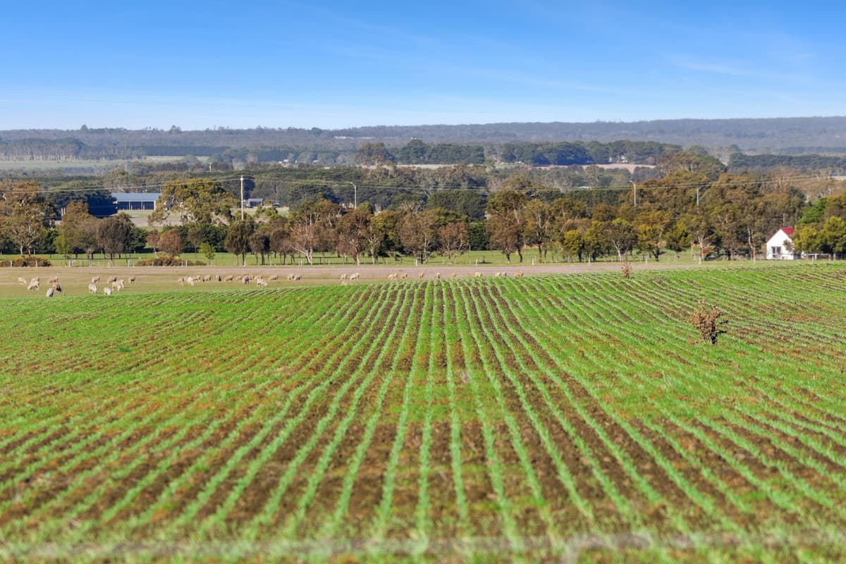 2125 Barrabool Road, Mount Moriac, VIC, Mount Moriac - Thumbnail 5