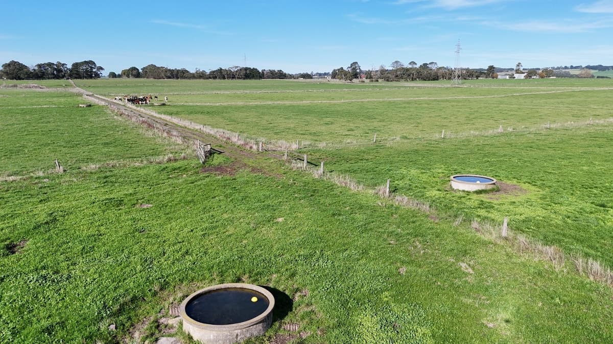 60 Tannis Road, Larpent, VIC, Larpent - Thumbnail 2