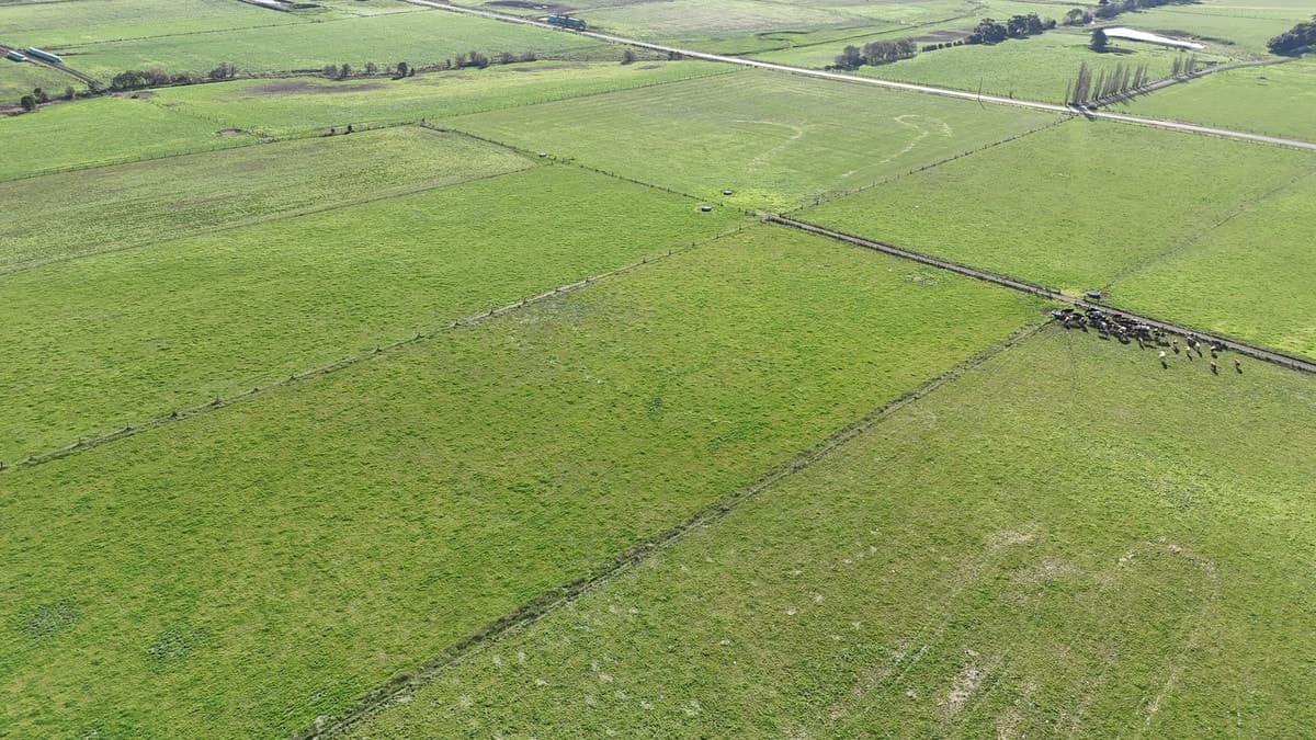 60 Tannis Road, Larpent, VIC, Larpent - Thumbnail 5