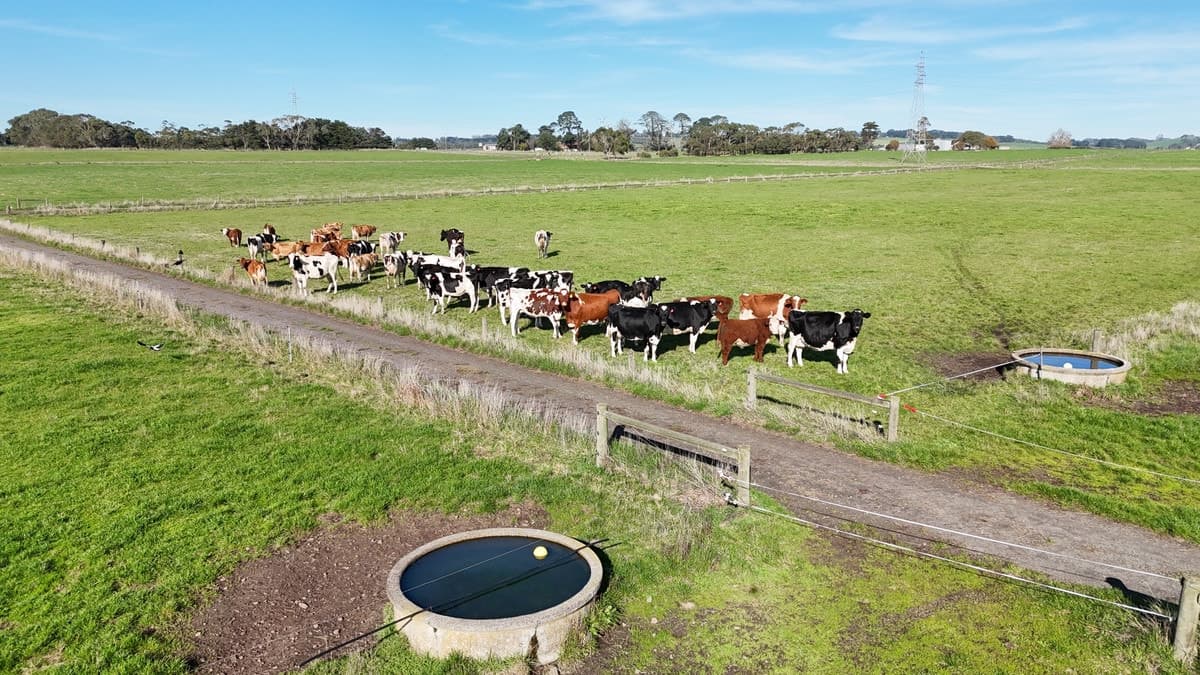 60 Tannis Road, Larpent, VIC, Larpent - Thumbnail 6