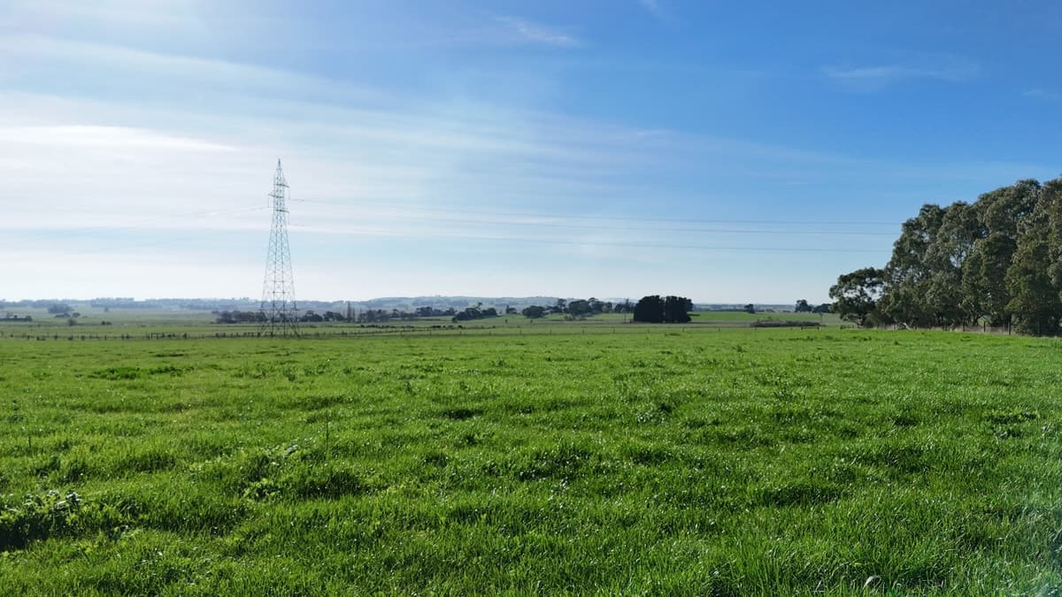 60 Tannis Road, Larpent, VIC, Larpent - Thumbnail 7