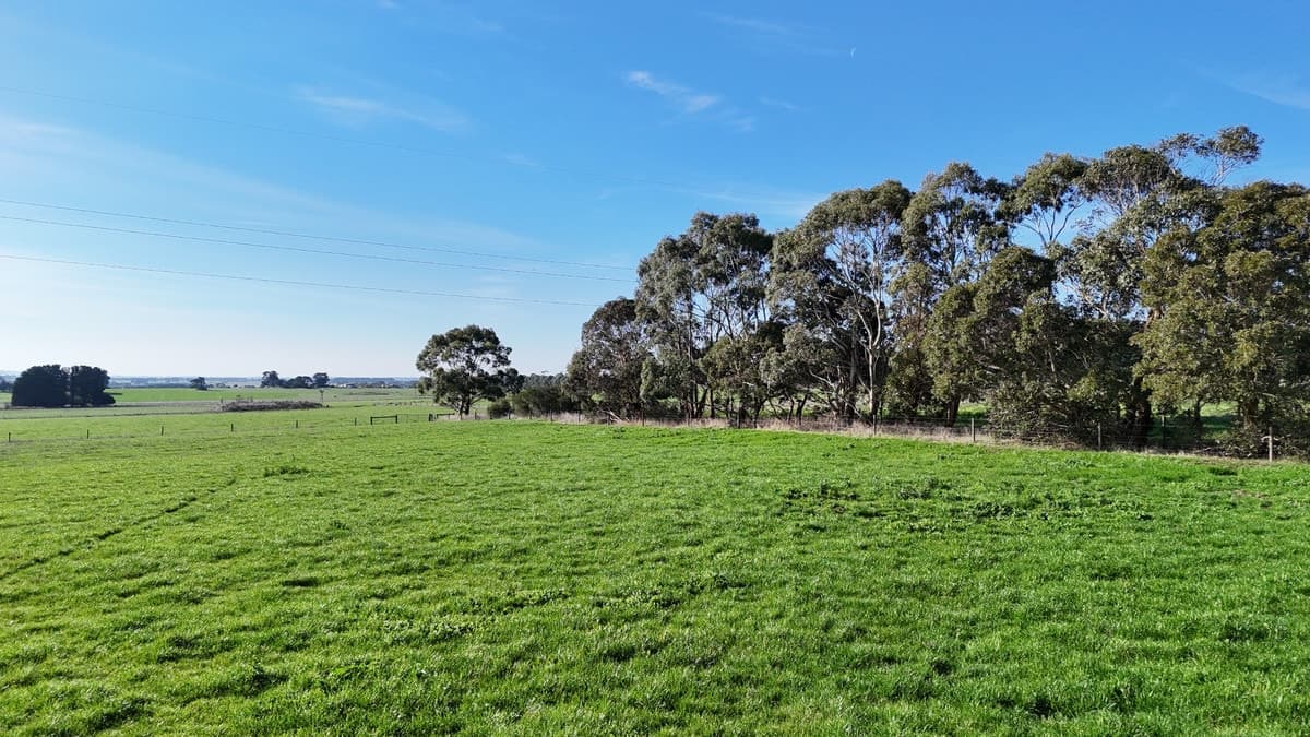 60 Tannis Road, Larpent, VIC, Larpent - Thumbnail 8