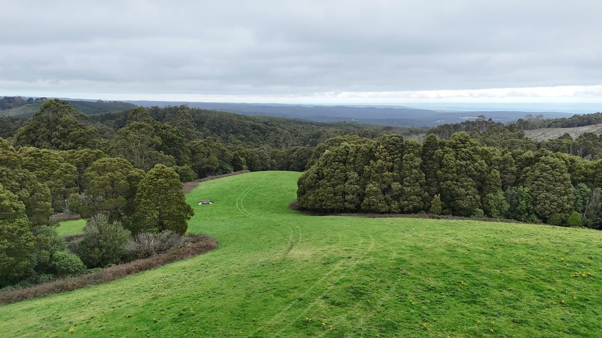 5225 Colac-Lavers Hill Road, Lavers Hill, VIC, Lavers Hill - Thumbnail 4