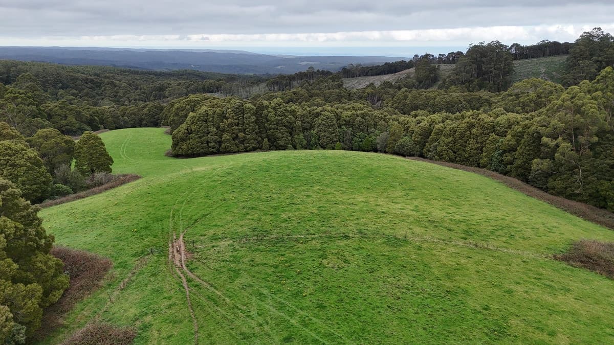 5225 Colac-Lavers Hill Road, Lavers Hill, VIC, Lavers Hill - Thumbnail 7