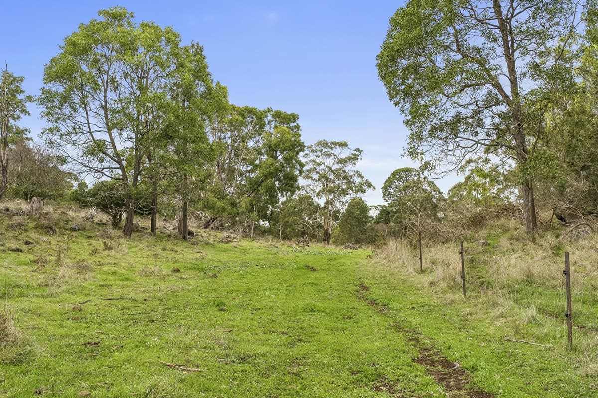 2584 Princes Highway, Pomborneit, VIC, Pomborneit - Thumbnail 6