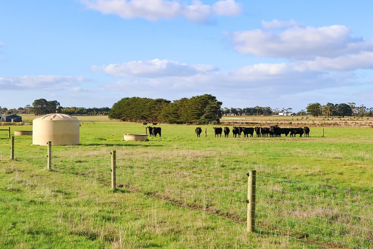 59 Gapes Road, Winslow, VIC, Winslow - Thumbnail 3