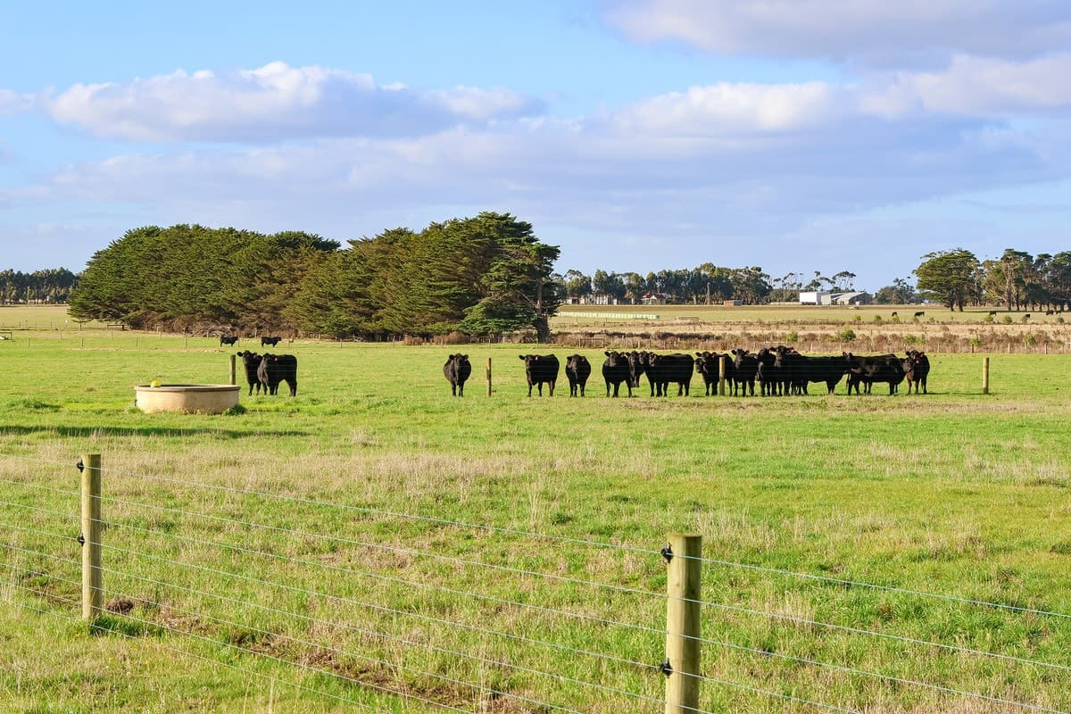 59 Gapes Road, Winslow, VIC, Winslow - Thumbnail 4
