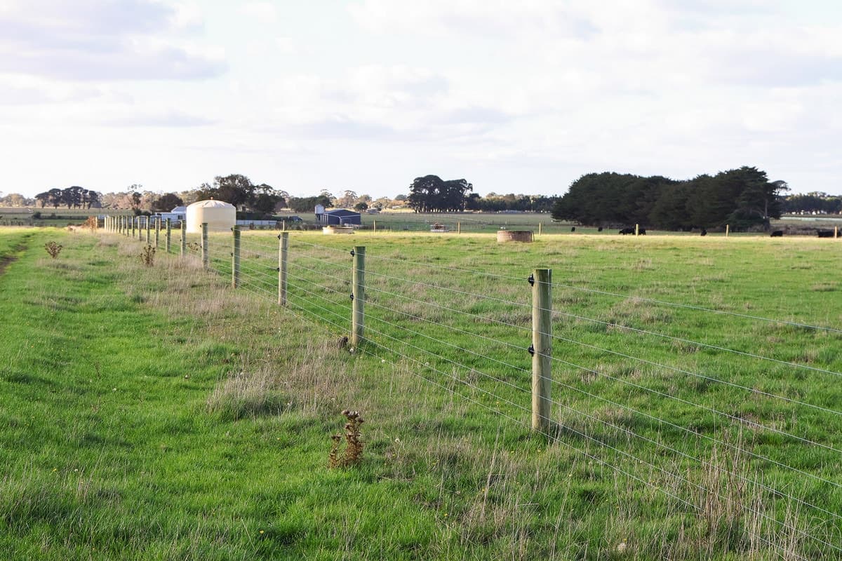 59 Gapes Road, Winslow, VIC, Winslow - Thumbnail 7