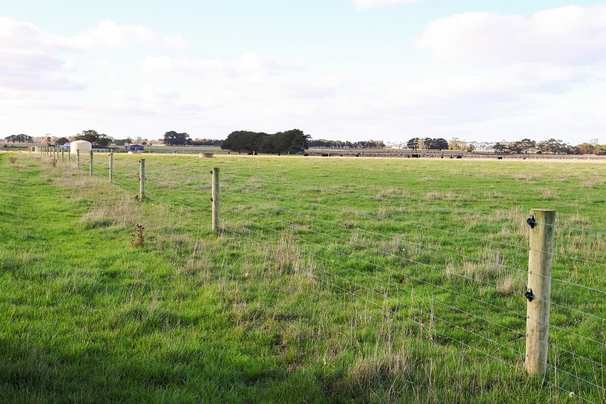 59 Gapes Road, Winslow, VIC, Winslow - Thumbnail 8