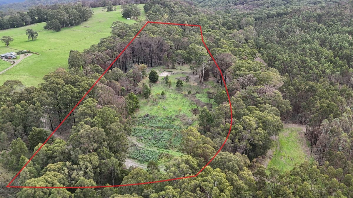95 Wonga Road, Kawarren, VIC, Kawarren - Image 1