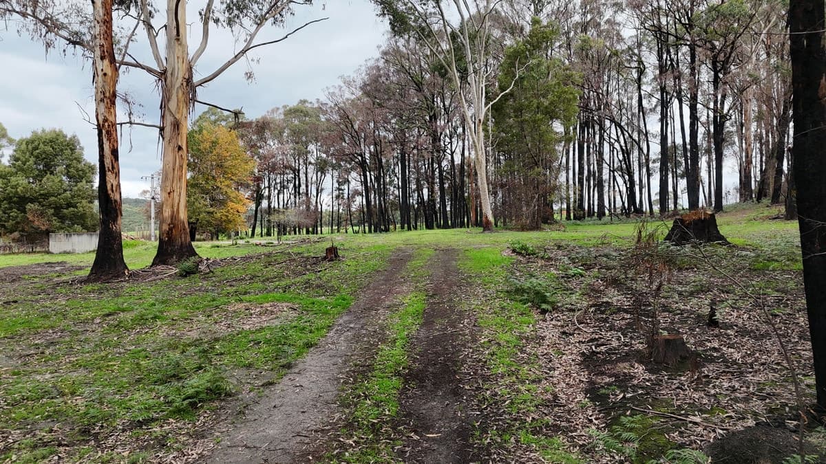 95 Wonga Road, Kawarren, VIC, Kawarren - Thumbnail 2