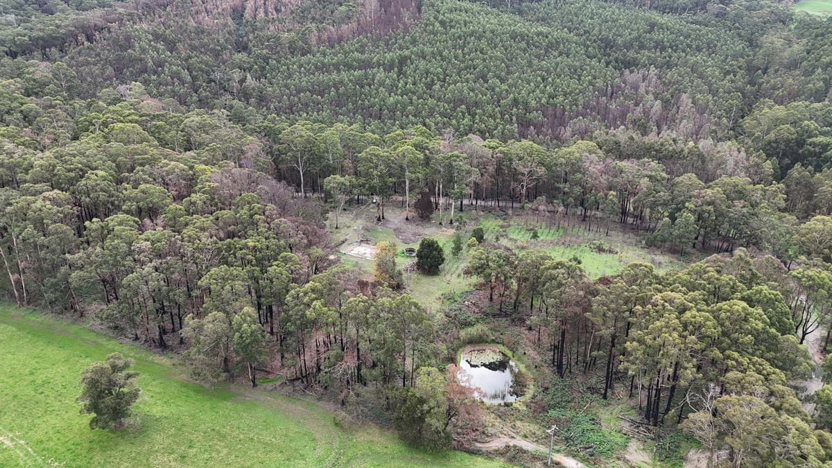 95 Wonga Road, Kawarren, VIC, Kawarren - Thumbnail 5