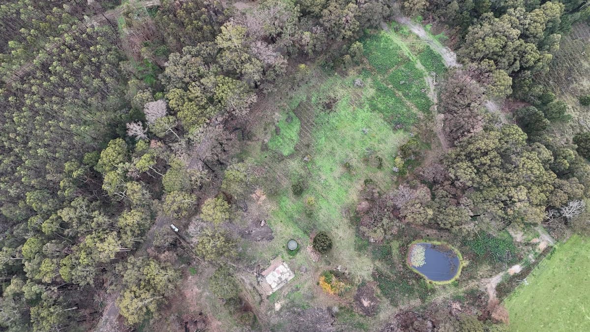 95 Wonga Road, Kawarren, VIC, Kawarren - Thumbnail 7