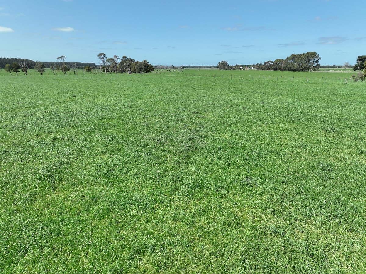 260 Swan Marsh-Stonyford Road, Pirron Yallock, VIC, Pirron Yallock - Thumbnail 2