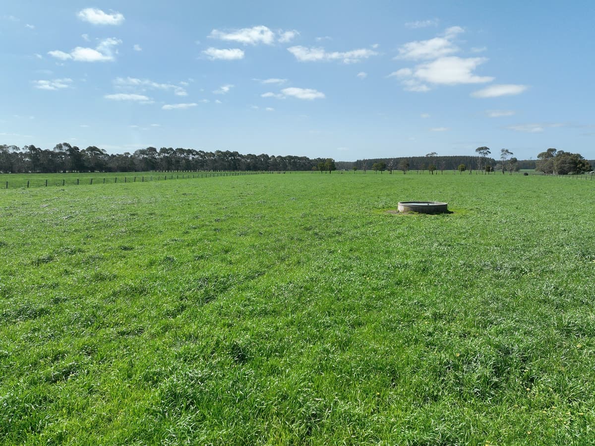 260 Swan Marsh-Stonyford Road, Pirron Yallock, VIC, Pirron Yallock - Thumbnail 4