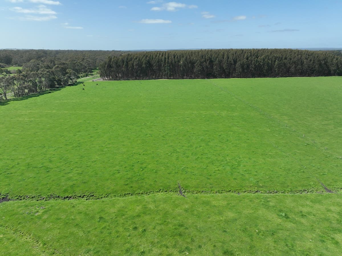 260 Swan Marsh-Stonyford Road, Pirron Yallock, VIC, Pirron Yallock - Thumbnail 6