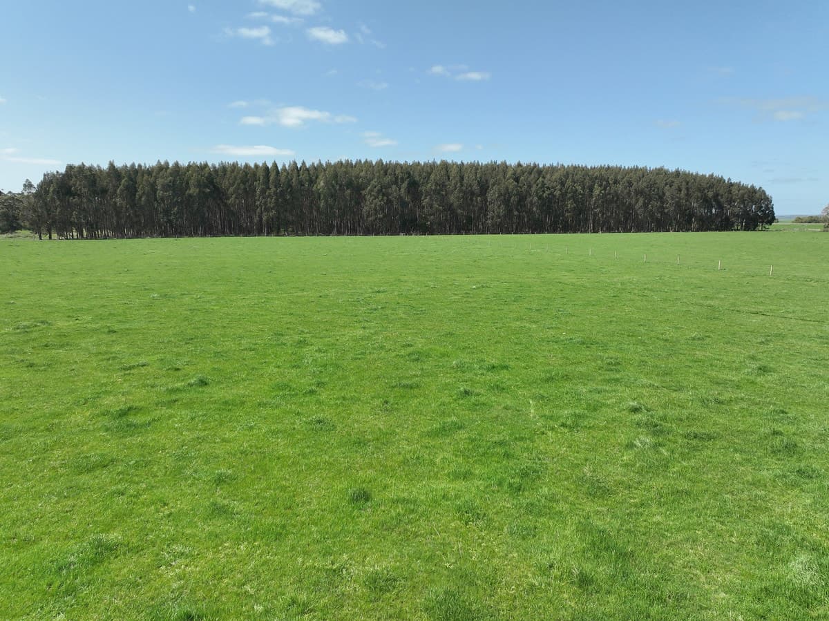 260 Swan Marsh-Stonyford Road, Pirron Yallock, VIC, Pirron Yallock - Thumbnail 7