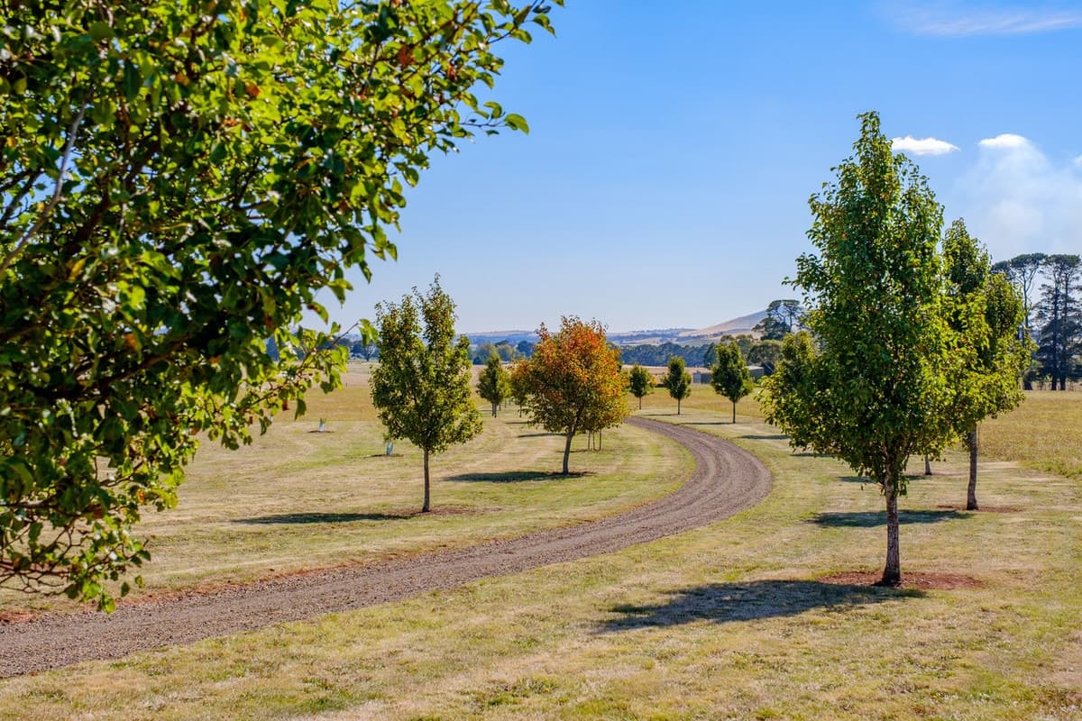 80 Victoria Road, Kingston, VIC, Kingston - Thumbnail 6