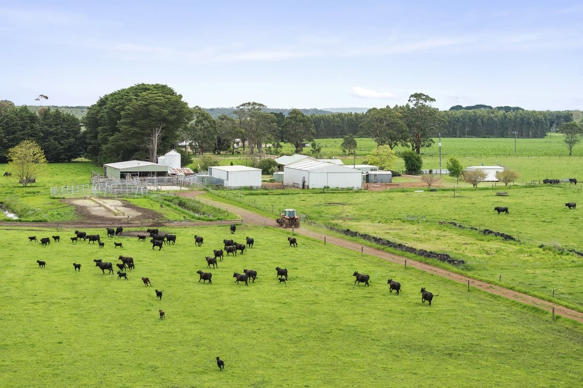 101 Jancourt Forest Road, Carpendeit, VIC, Carpendeit - Thumbnail 7