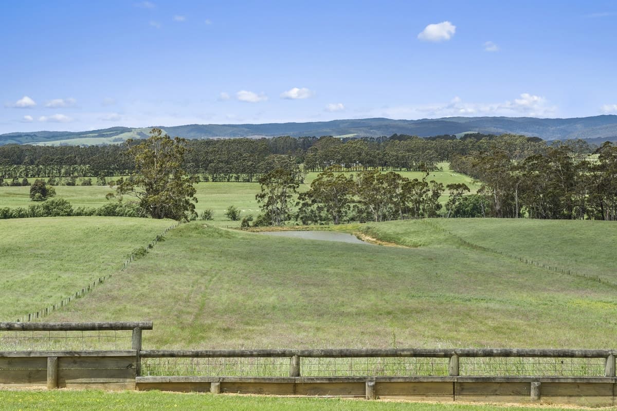 2045 Colac-Forrest Road, Gerangamete, VIC, Gerangamete - Thumbnail 6